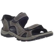 ECCO Offroad Lite