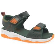 Clarks Clowder Print